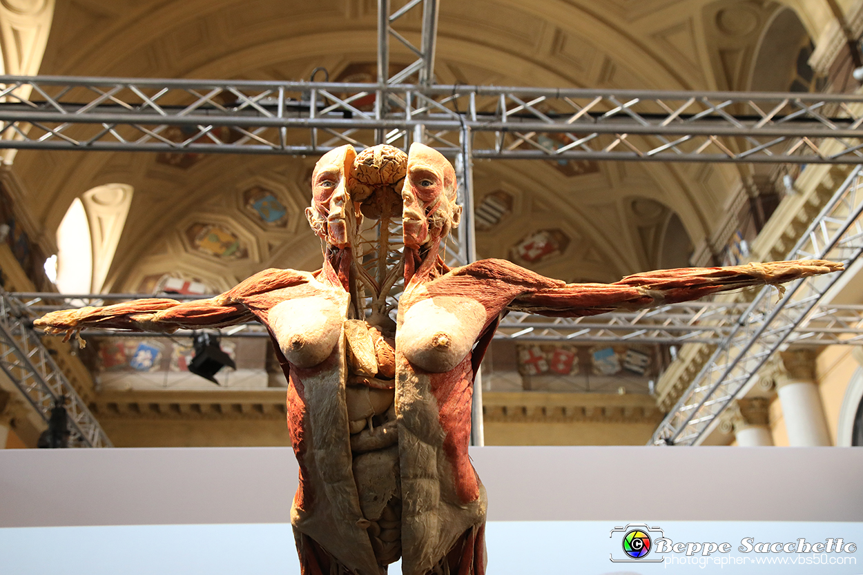 VBS_2678 - Mostra Body Worlds.jpg